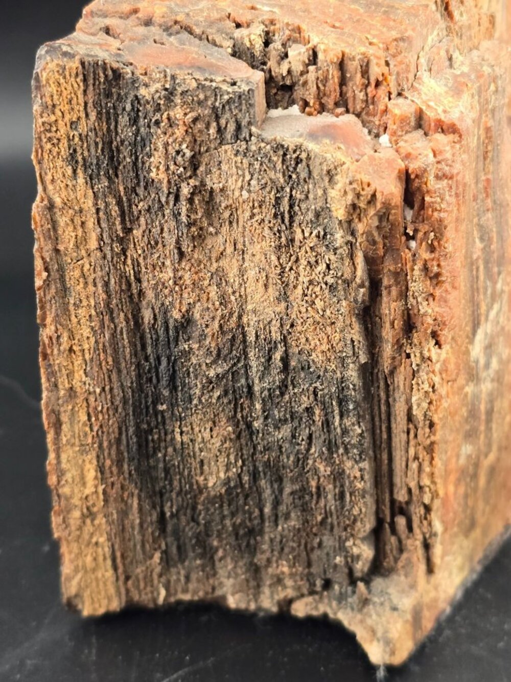 Petrified Wood Fossil Specimen With Rich Red & Black Hues, Polished/Raw -2.1 lbs - Picture 9 of 16